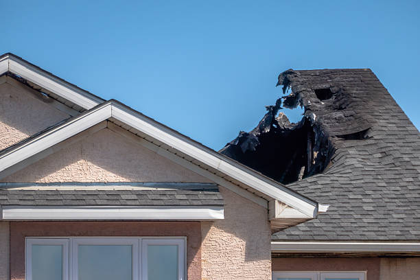 Licensed Odor Removal service in Thonotosassa, FL - Fire Damage Biloxi